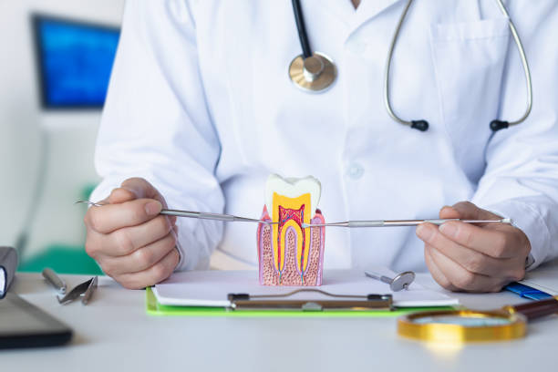 Best 24-Hour Emergency Dentist  in Buchanan, VA